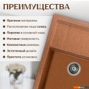 Кухонные мойки Saniteco Fortis (терракот)