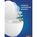 Унитазы Cersanit Carina New Clean On с инстал. Link Pro (с кнопкой Estetica 64111 белый/хром)