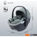 Автокресла Rant Aster Zero AY378 (оливковый)