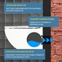 Унитазы Saniteco KW-99048 + Berges АТОМ 410 040333 (с кнопкой)