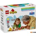 Конструкторы LEGO Duplo Поход Пеппы 10452