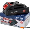 Цепные электро- и бензопилы Витязь ПЦ-А-220-6 18032002-2 (с 2-мя АКБ, кейс)