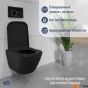Унитазы Lauter Nuremberg 21811B черный + Breez 21GN7072BM