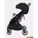 Детские коляски и аксессуары Rant Joy RA303 (золото/черный)
