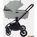 Детские коляски и аксессуары Rant Energy Basic RA091 2024 (2 в 1, зеленый)