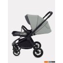 Детские коляски и аксессуары Rant Energy Basic RA091 2024 (2 в 1, серый)