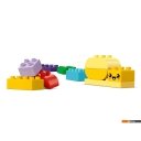 Конструкторы LEGO Duplo Креативный цветочный сад 10444