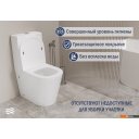 Унитазы Lauter W76 P-TRAP 21122761 + гигиенический душ Mist 21TZ222MB (горизонтальный выпуск)