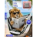 Кемпинговая мебель Sundays ZC-CS006-1 (белый/черный)