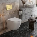 Унитазы Roxen Antares Tornado в комплекте с инсталляцией StounFix Dual Fresh 6 в 1 968463 (кнопка: брашированное золото)