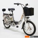 Электровелосипеды GreenCamel Транк-18 V2 R18 (250W 60V 20Ah)