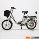 Электровелосипеды GreenCamel Транк-18 V2 R18 (250W 60V 20Ah)