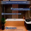 Ванны Lauter Brio Star 170 21S1701 + сифон 21Y32001 (с ножками, с ручками)