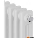 Радиаторы отопления Royal Thermo Insignia C2180 - 08 секций RAL9016