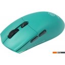 Мыши Raskat MG006TR