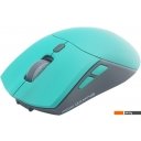 Мыши Raskat MG009WR