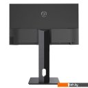 Мониторы Raskat I27F10DAP