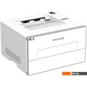 Принтеры и МФУ Pantum BP4210DW