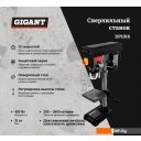 Деревообрабатывающие и металлообрабатывающие станки Gigant DP1016