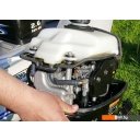 Лодочные моторы Parsun F2.6 BMS