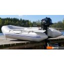 Лодочные моторы Parsun F2.6 BMS