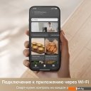 Аэрогрили и аэрофритюрницы Trouver Air Fryer FD10 Pro Max (черный)