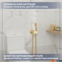 Душевые системы и гарнитуры Lauter Neo 21LT0474GL