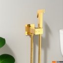 Душевые системы и гарнитуры Lauter Rainix 21LT7714GL