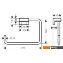 Аксессуары для ванной и туалета Hansgrohe AddStoris 41754000