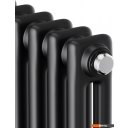 Радиаторы отопления Royal Thermo Insignia C2180 - 08 секций RAL9005m