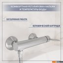 Смесители Lauter Velvet 21СК9696С с лейкой Living Fleur 21S00126