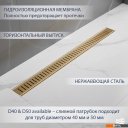 Сифоны Lauter 2120163-C1G 600x70 (золото)