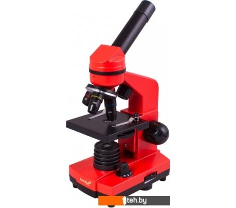  - Игры-опыты, эксперименты Levenhuk Rainbow 2L (апельсин) 69039 - Rainbow 2L (апельсин) 69039