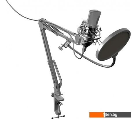  - Микрофоны Ritmix RDM-169 - RDM-169