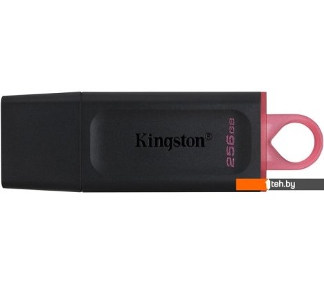  - USB Flash Kingston Exodia 256GB - Exodia 256GB