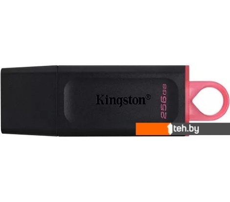  - USB Flash Kingston Exodia 256GB - Exodia 256GB