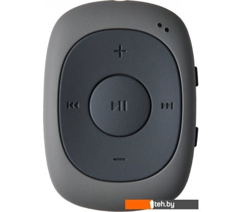  - Плееры Digma C2LG (серый) [367272] - C2LG (серый) [367272]