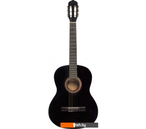  - Гитары Terris TC-390A BK - TC-390A BK