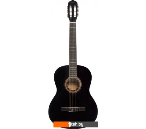  - Гитары Terris TC-390A BK - TC-390A BK