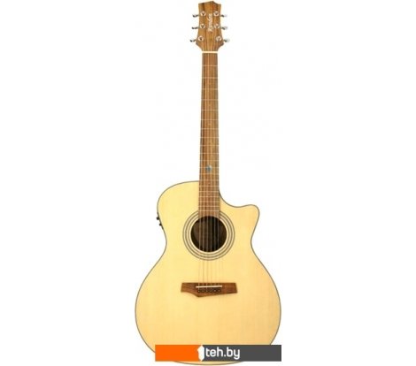  - Гитары Randon RGI-04-CE - RGI-04-CE