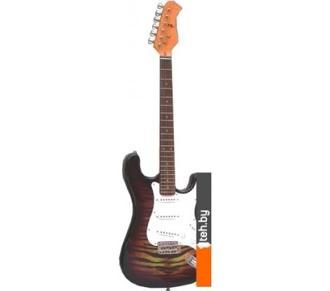  - Гитары Mingde EGT-103 - EGT-103