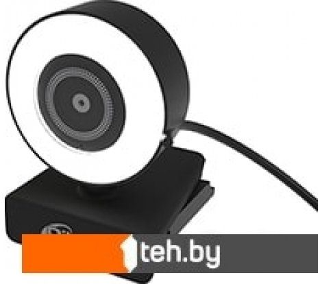  - Web-камеры Ritmix RVC-250 - RVC-250