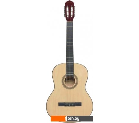  - Гитары Terris TC-390A NA - TC-390A NA