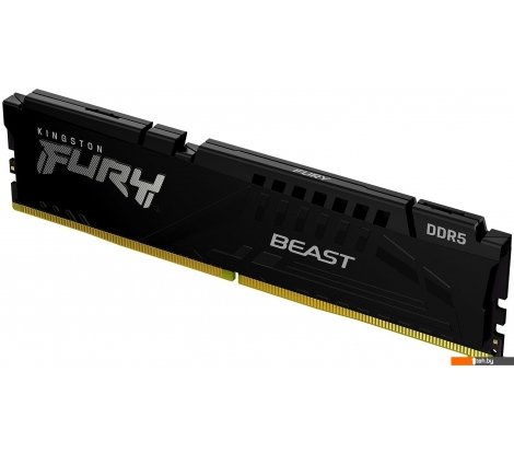  - Оперативная память Kingston FURY Beast KF556C40BB-16 - FURY Beast KF556C40BB-16