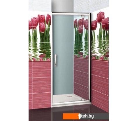  - Душевые кабины Roth Proxima Line PXDO1N/80 (прозрачная) [525-8000000-00-02] - Proxima Line PXDO1N/80 (прозрачная) [525-8000000-00-02]