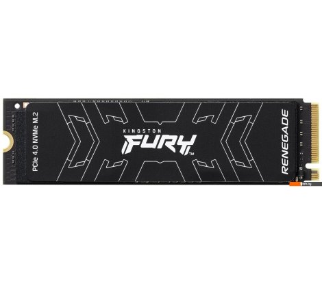  - SSD Kingston Fury Renegade 500GB SFYRS/500G - Fury Renegade 500GB SFYRS/500G