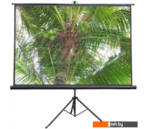  - Проекционные экраны Future Vision Tripod 200x200 T200SMW - Tripod 200x200 T200SMW