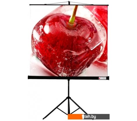 - Проекционные экраны ViewScreen Clamp 160x160 - Clamp 160x160