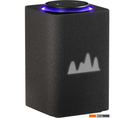  - Беспроводные и портативные колонки Яндекс Станция Макс (с хабом умного дома Zigbee, графит) - Станция Макс (с хабом умного дома Zigbee, графит)