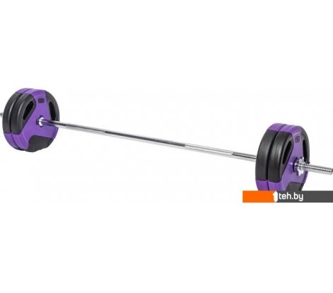  - Гантели, гири, штанги Sundays Fitness IR91041 25 кг - Fitness IR91041 25 кг